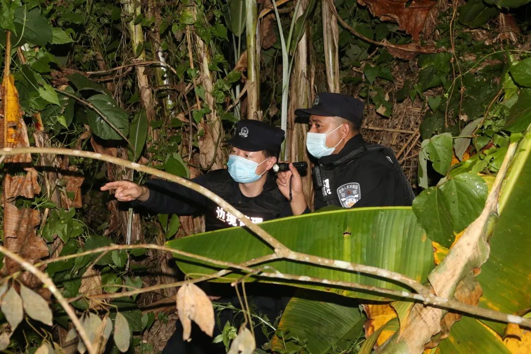 西南边境猎毒人我握住刀尖才躲过毒犯的当头一刀