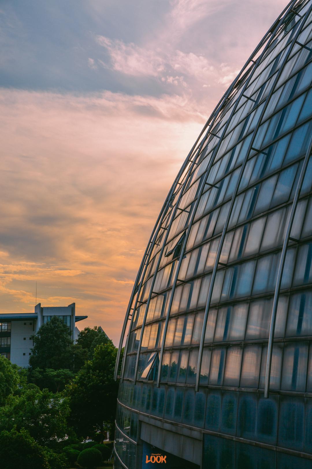 look | 东华大学,今年70周岁了_澎湃号·湃客_澎湃新闻-the paper