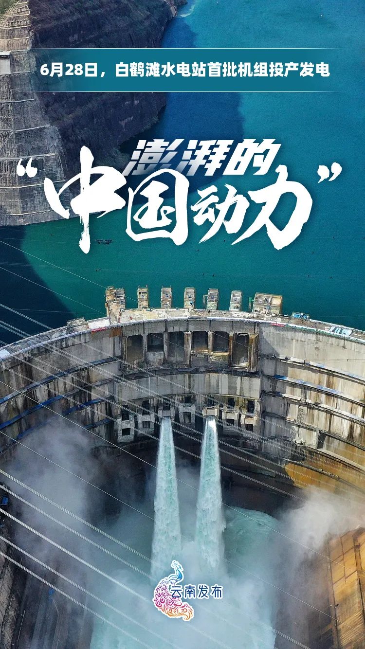 聚焦 历史性时刻 今日鹤舞金沙 澎湃新闻 The Paper 聚焦 历史性时刻 今日鹤舞金沙 澎湃新闻 The Paper