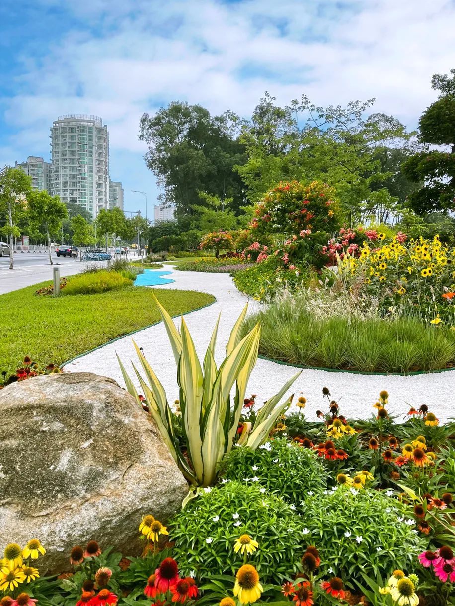 天河6大花境扮靓羊城你最喜欢哪一个