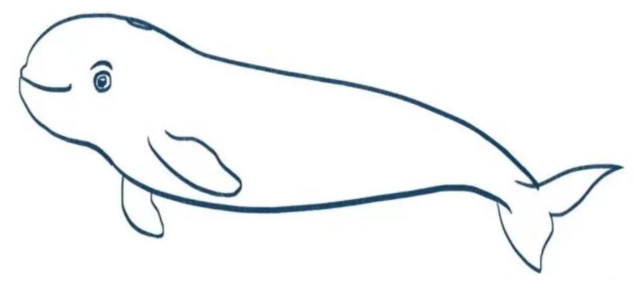 长江十年禁渔之后还有鱼可吃吗