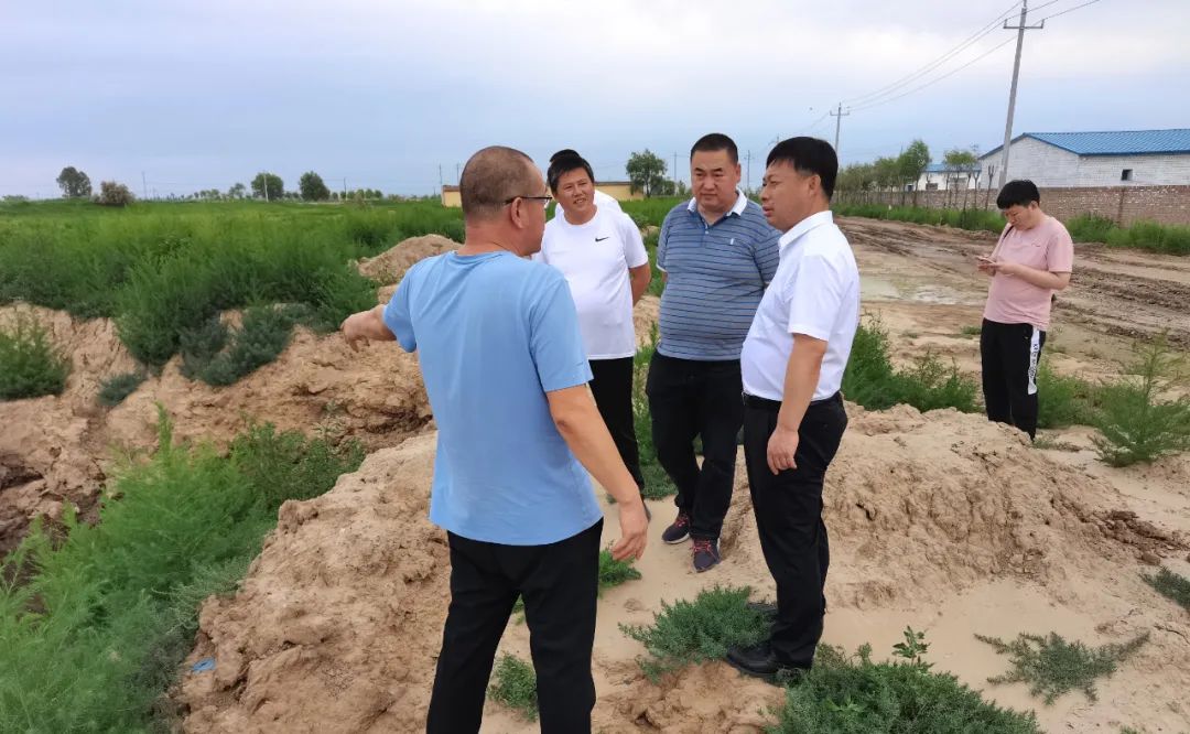 托克托县融媒体中心 文摄/弓羽箭原标题:《县委副书记,县长刘继英调研