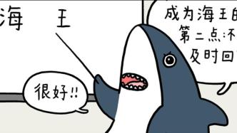 海豹漫画｜有关“海王”的那些事