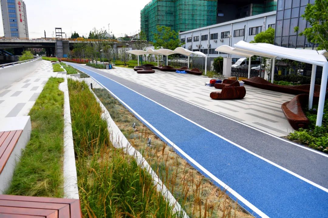 破墙还绿宝山区蕰藻浜庙行段14公里滨水步道正式贯通