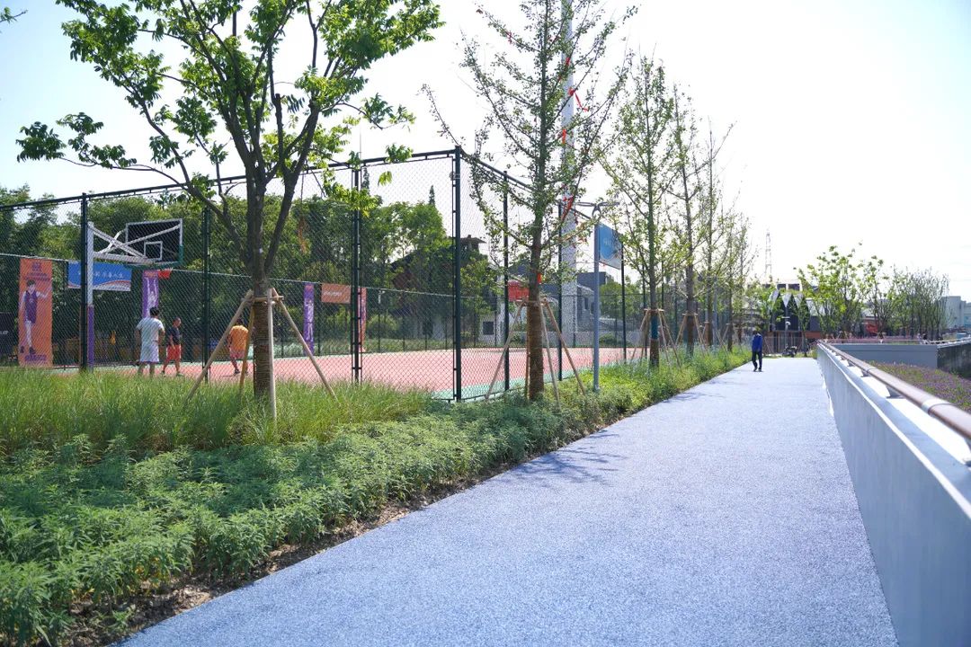 破墙还绿宝山区蕰藻浜庙行段14公里滨水步道正式贯通