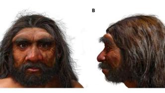 来自东北的古人类“龙人”，可能是现代人目前最亲近的亲戚