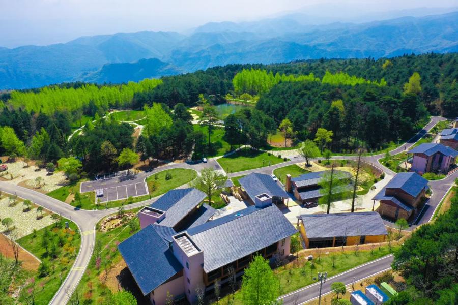 清凉宜夏凉方来啦