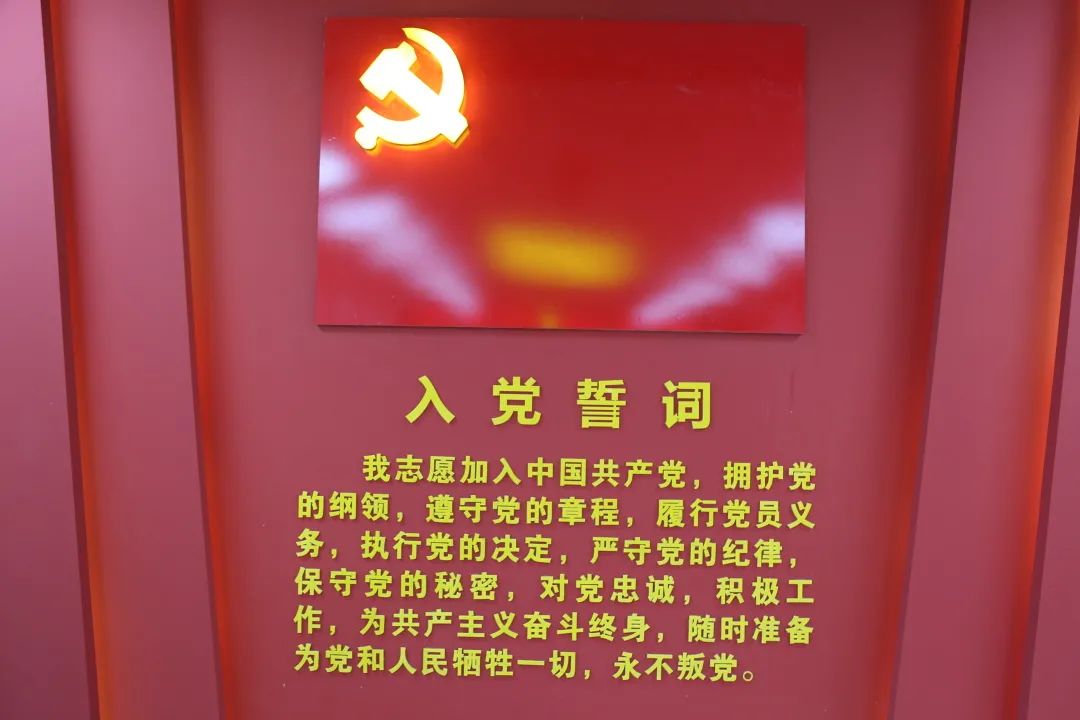 重温入党誓词,坚定理想信念_澎湃号·政务_澎湃新闻-the paper