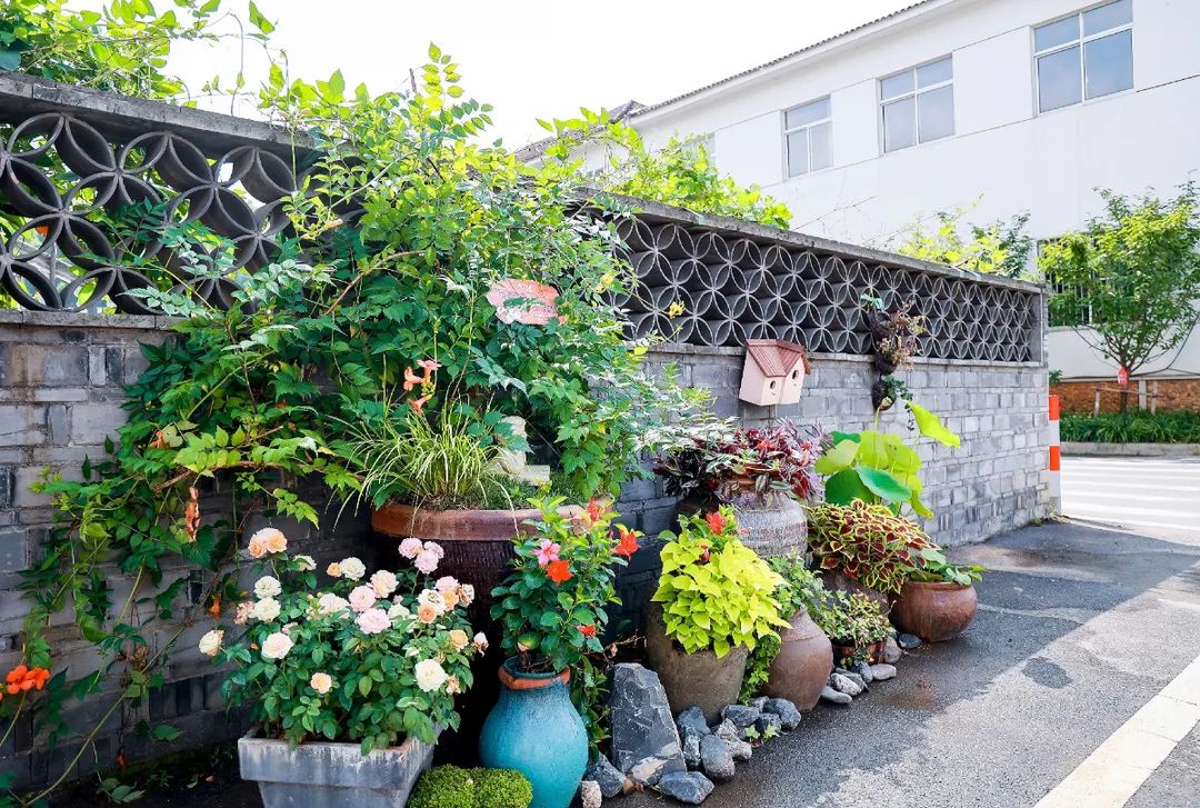 展实绩践初心安吉县妇联开展美丽庭院四季红第二季比看晒活动