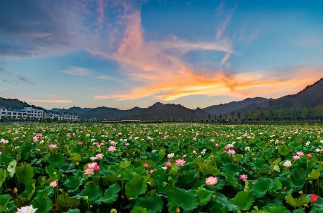 助力共同富裕开化潭头村着力打造特色村寨扎实助推共同富裕