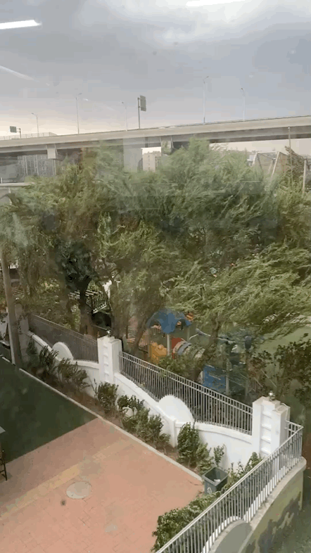 济南大风冲上热搜10级大风雷电冰雹山东13市将有强对流天气青岛