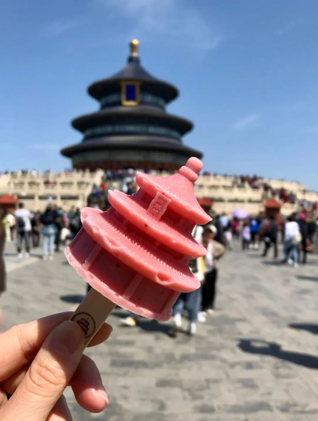 北京·天坛公园除了十二生肖款,还有荷花款,并蒂莲款雪糕可选择,造型