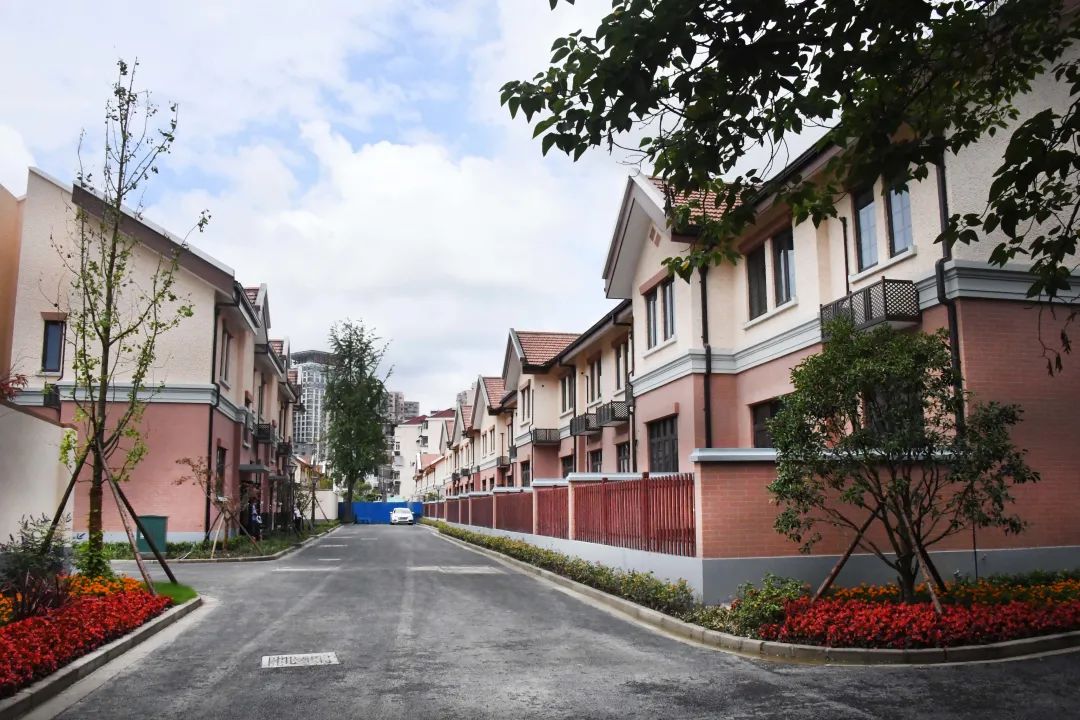 打造新地标,提升软实力,龙华街道探索风貌区片区一体化运营管理机制!