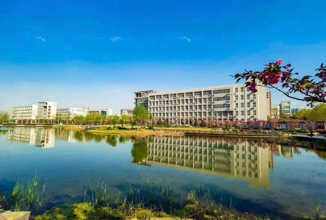 河南职业技术学院官方澎湃号