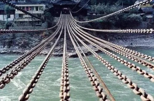 如果它们会说话