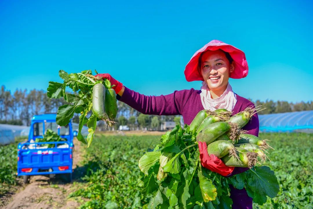 100张笑脸祝福党
