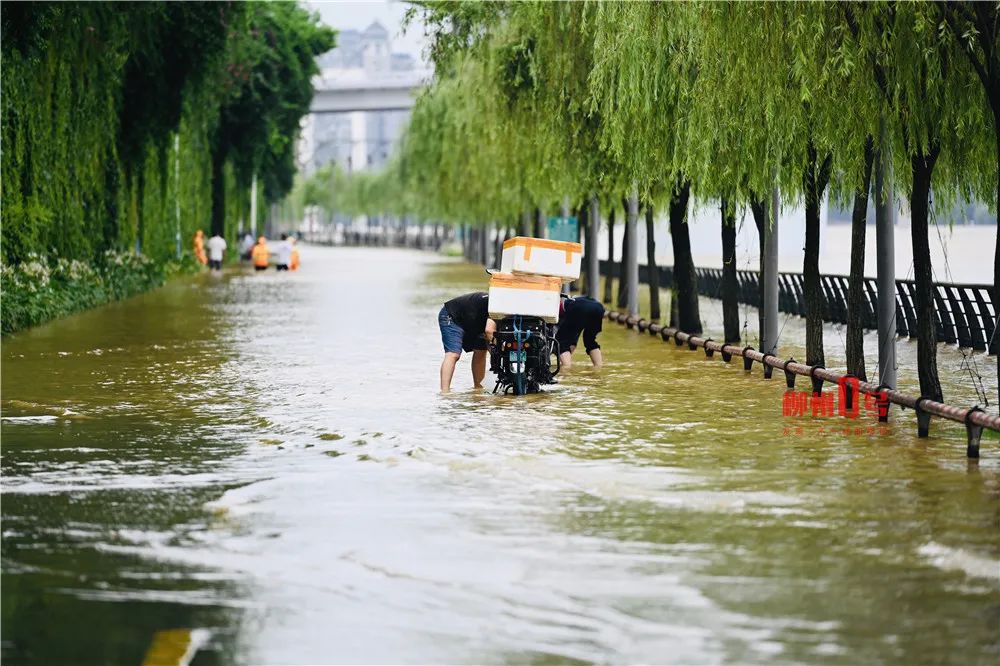 水漫上河堤,有的市民在漫水路段洗车,有个阿哥还坐在车上淡定钓鱼.