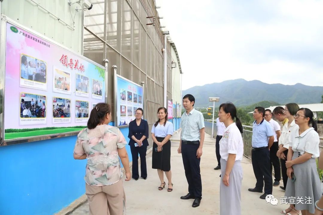 东乡镇莫村村委,武宣供电局,桐岭镇和律村兴农哈密瓜基地,和律村雅度