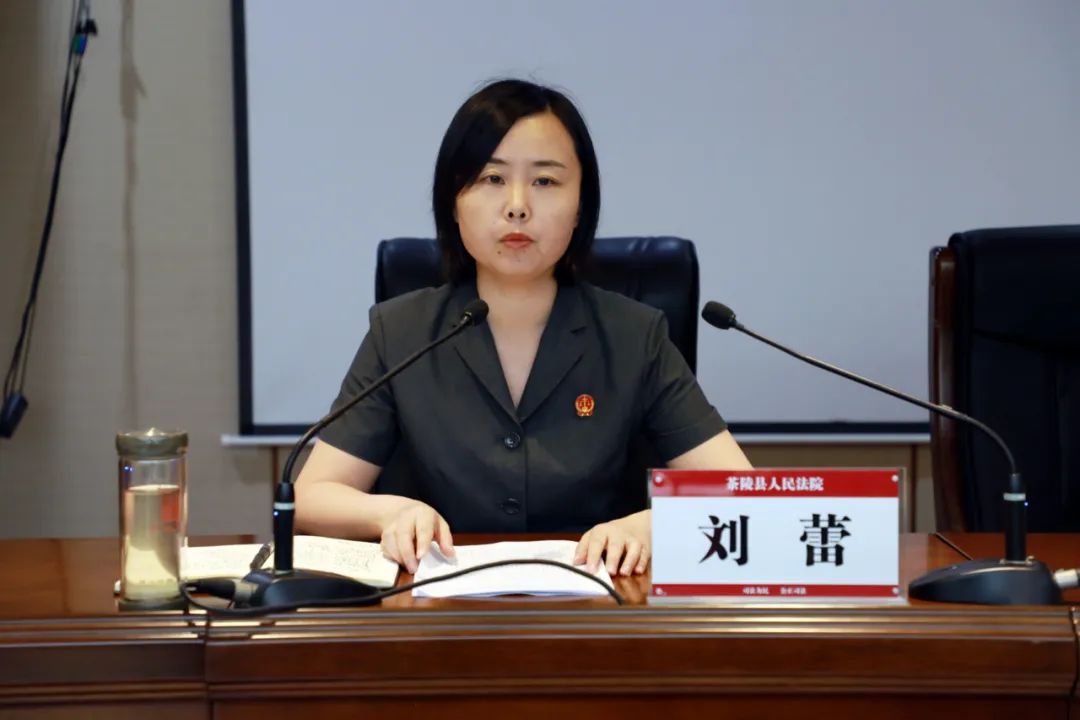 刘蕾院长指出,自政法队伍教育整顿开展以来,茶陵法院深入贯彻党中央