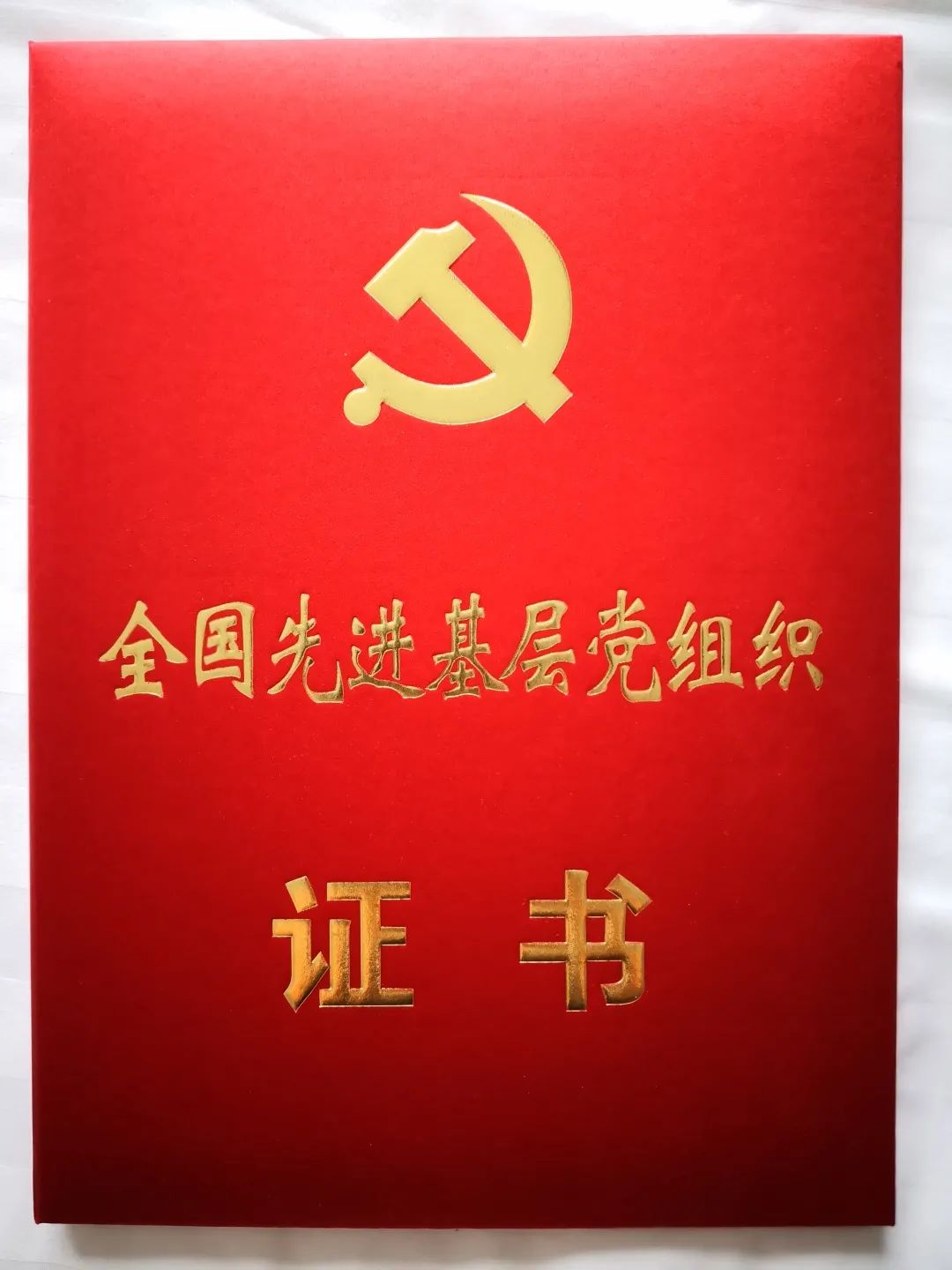 全国先进基层党组织证书钦北区法院党组成员,副院长,机关党委书记张世