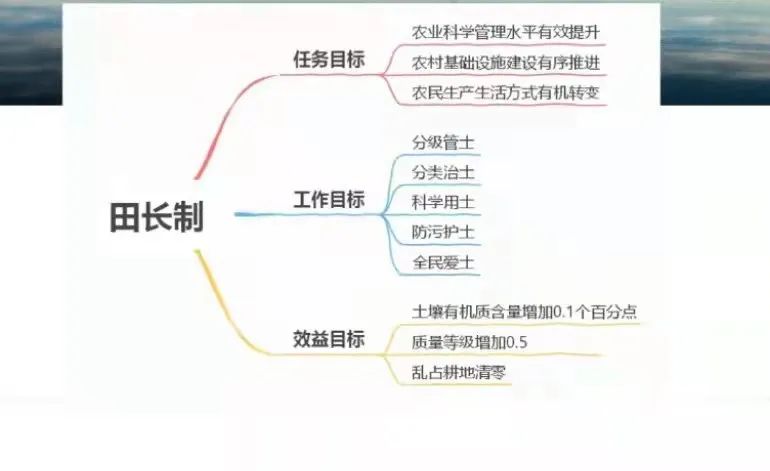 【黑土保护|看好自家地 守好子孙田】四方台探索实行田长制(一)