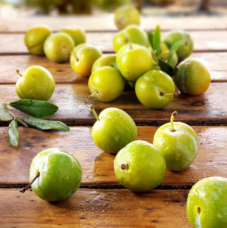 统景歪嘴李进入最佳采摘期!错过等一年哦