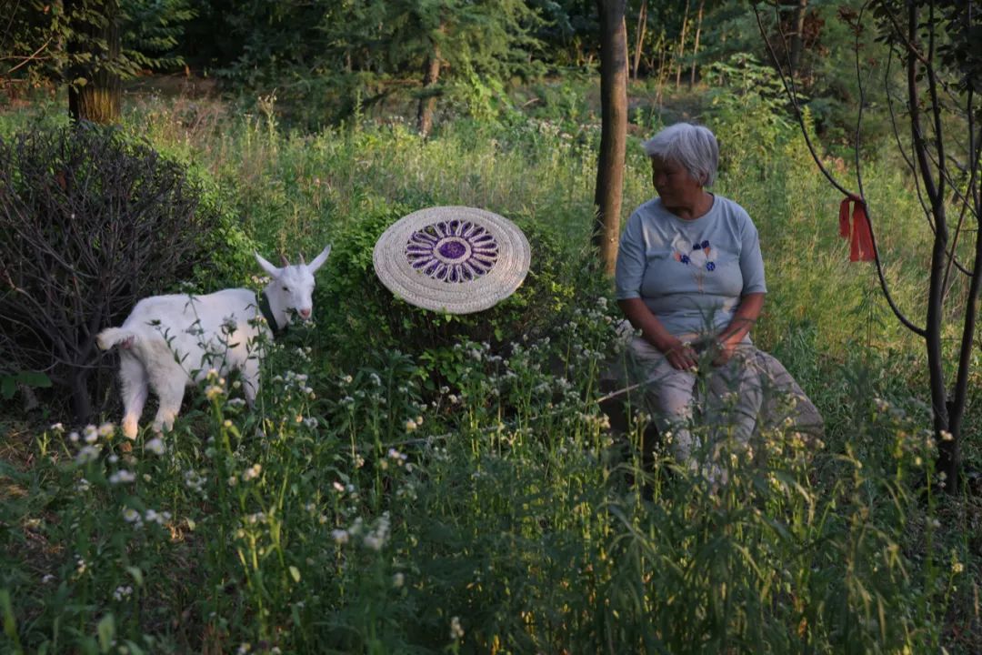 坐垫与牧羊人 傅拥军 摄影
