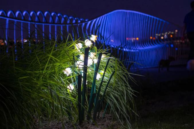 探索长宁开启全区景观灯光亮灯模式一大波夜景美图