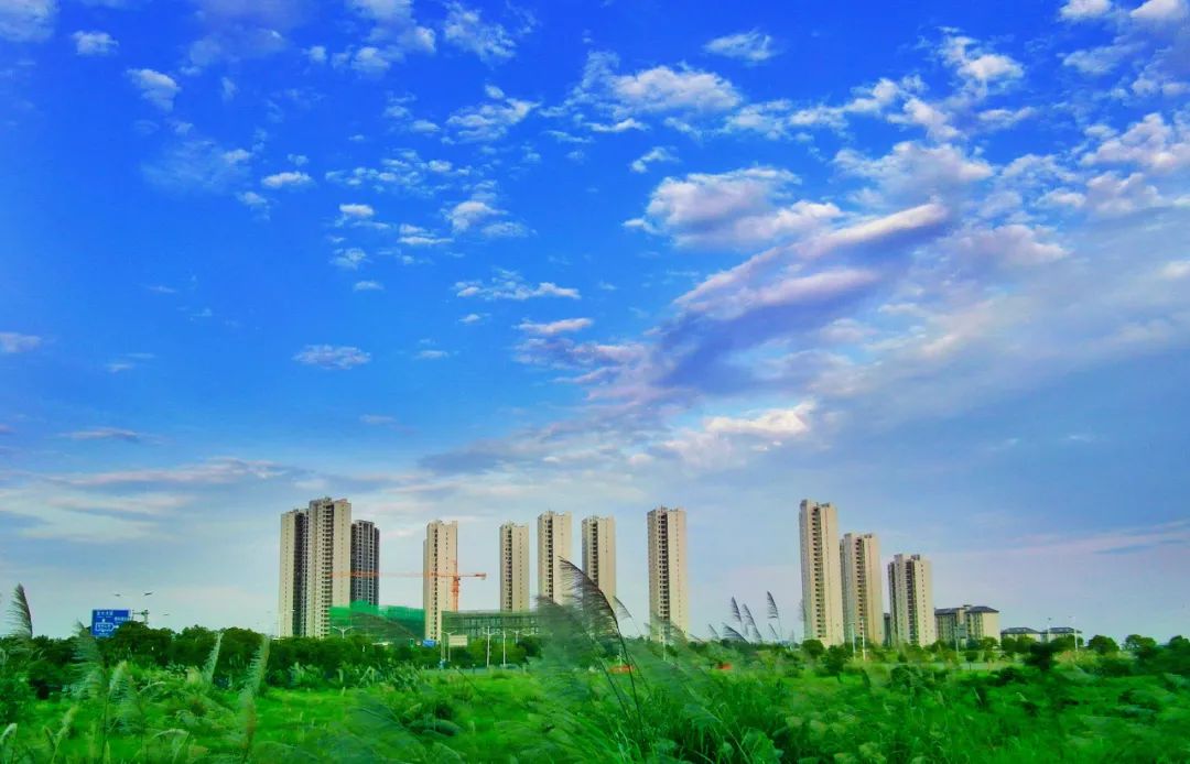 夏日限定 藍天白雲,晴空萬里 碧空如洗,白雲如浪 一幅不用修飾的自然