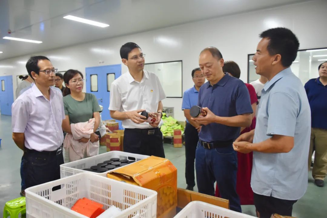 古田代县长许锋调研重点工作