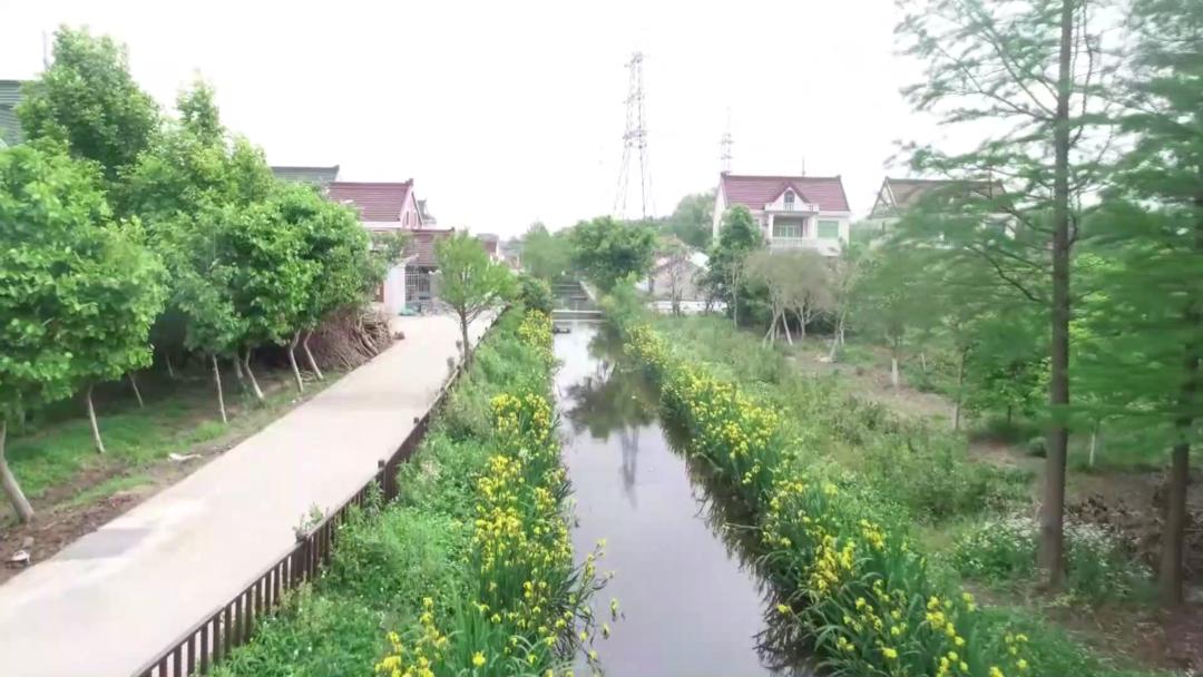 盘活科创资源积蓄发展能量淞南镇努力争做科创中心主阵地建设的领航者