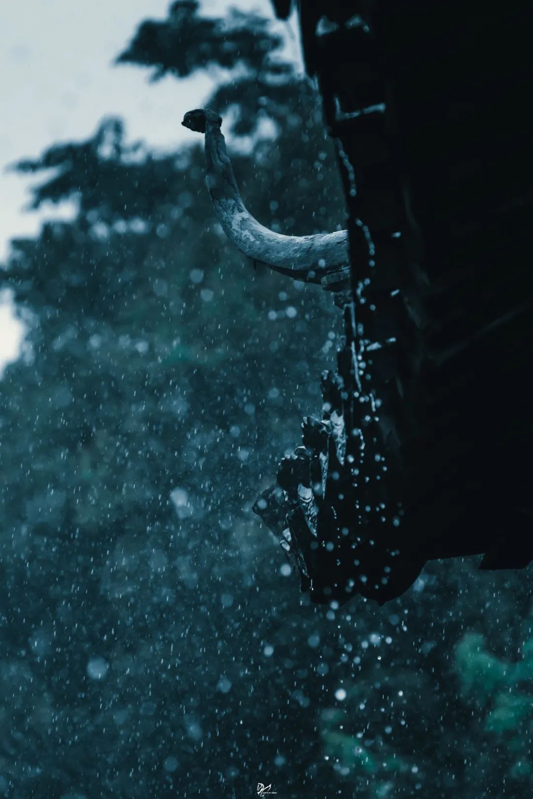 园林美学大雨等雨停