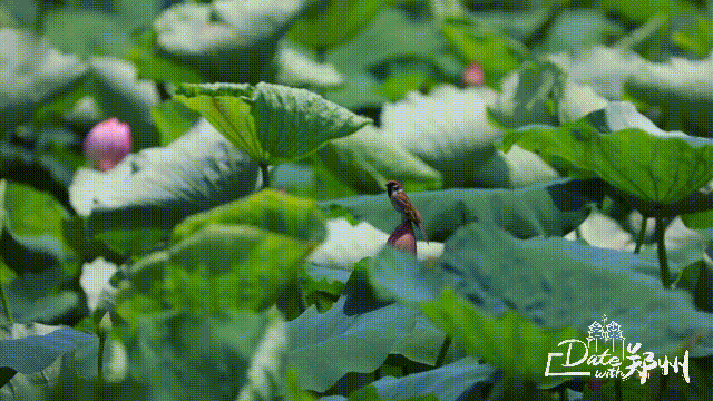 640_360gif 动态图 动图