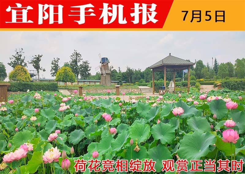 21年7月5日宜阳手机报