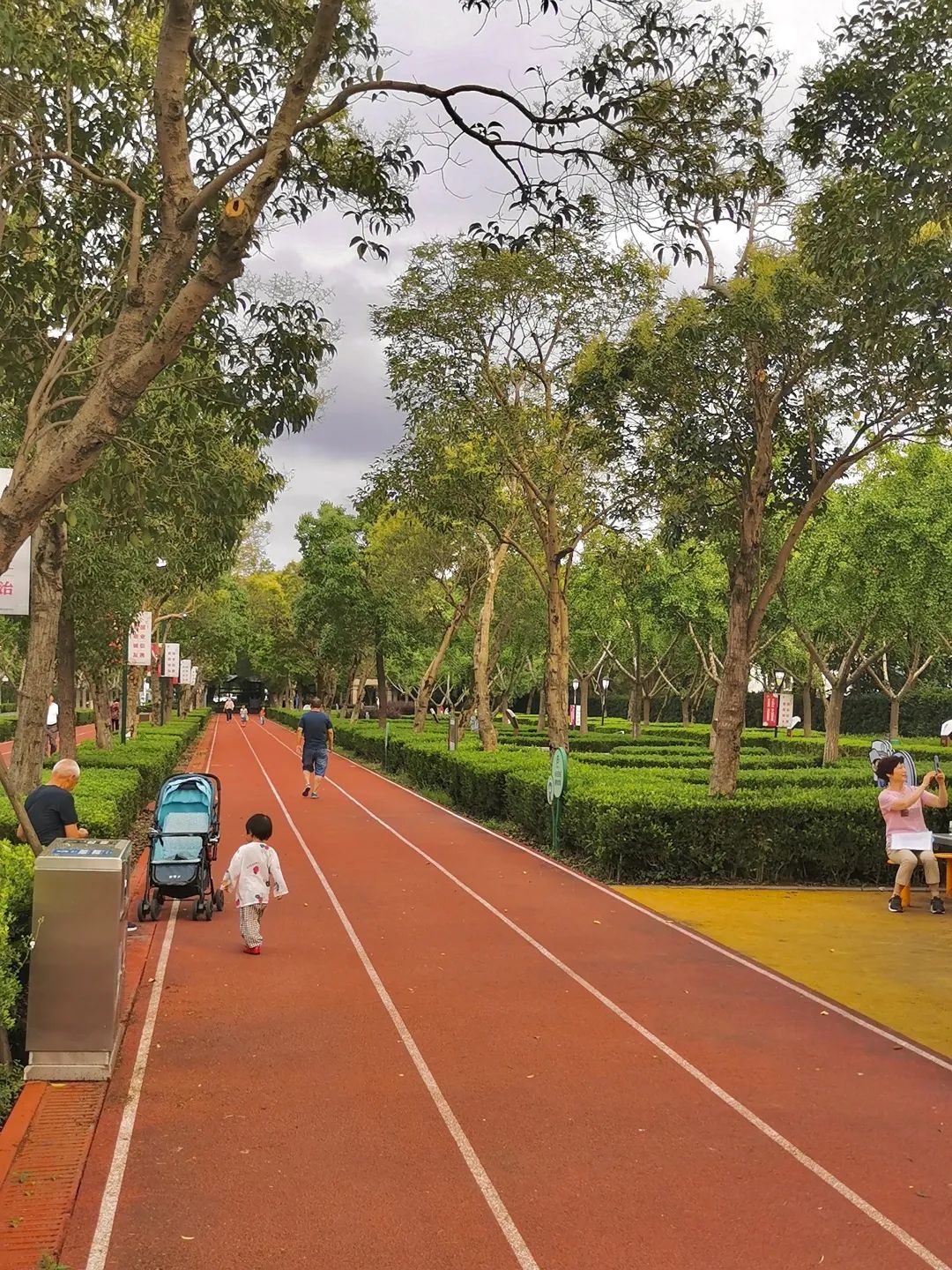 夏日微风正好,七月的傍晚,不如去浦南运河公园,韩谊路散散步吧!