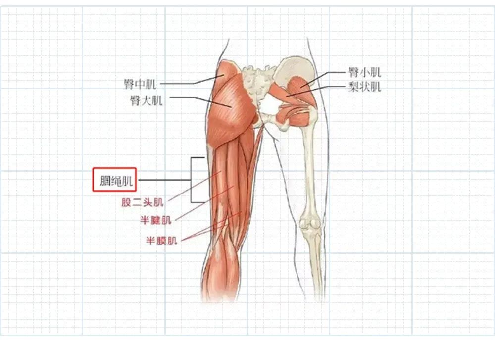 在你伸手够脚时,已经在拉伸腰部韧带,大腿后侧腘绳肌了