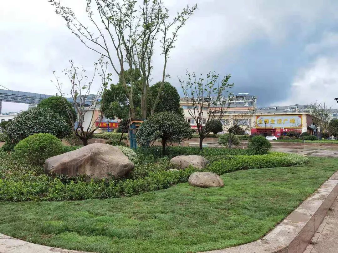 新增200多个非机动停车位,入口改造……松江这些小区正在升级