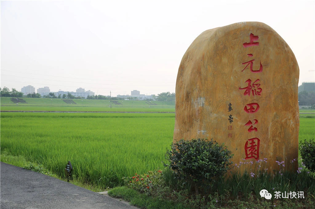 上元稻田公园按照实施方案,到2023 年,茶山乡村振兴的制度框架和政策