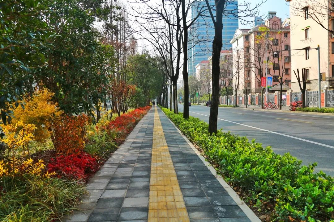 桃浦路—武宁路桃浦路花箱曹杨路—真北路真南路花箱武威路—祁连山路
