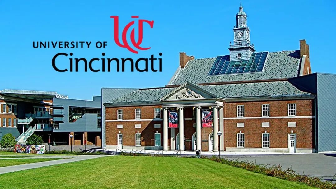 智能技术并没有让我们变得更笨