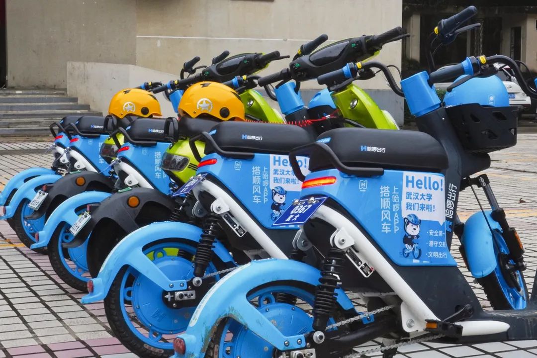 快看,ta来啦,ta来啦为了方便广大师生出行 6月30号起 共享电动车在