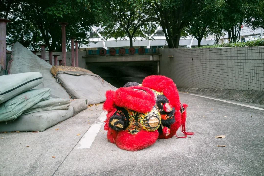 《城見》 一隻舞獅頭被遺棄在公園的一角,2020年5月,佛山文化公園