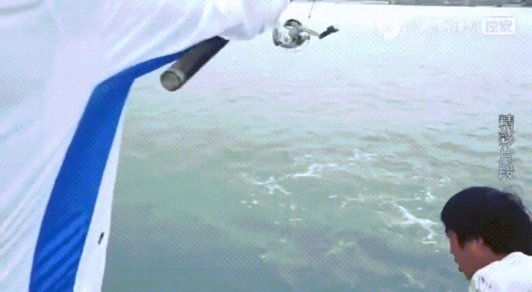 一上班就划水摸鱼渔民的儿子成了职业赶海人