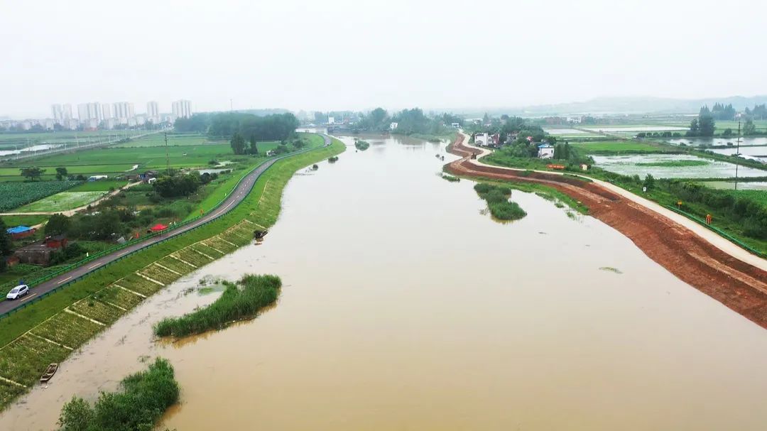 巡堤查险不松懈庐江干群奋战在大堤上