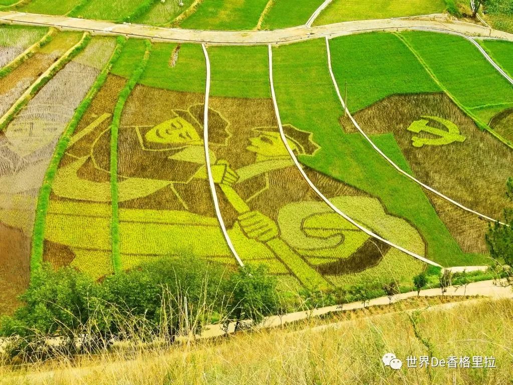 红色旅游打卡地 香格里拉市上江乡士旺村:稻田作画话"百年"