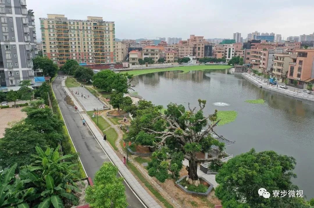 寮步横坑社区:以党史学习教育为引领 驱动社区向高质量发展加速前进