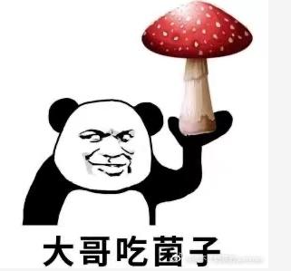 是什么也阻挡不了的而云南人对于捡菌的热情一样地冒出野生菌也开始像
