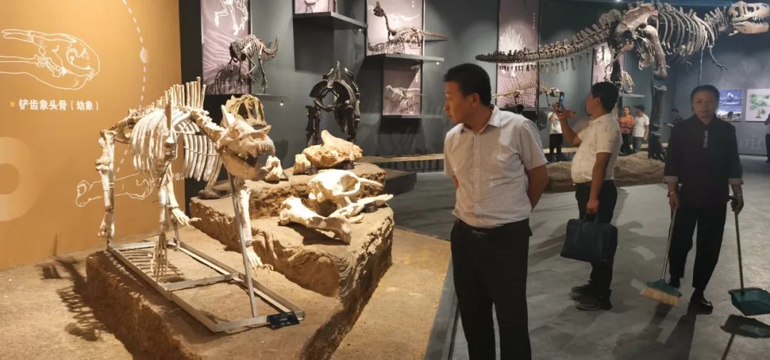 麻黄梁黄土地质博物馆图片