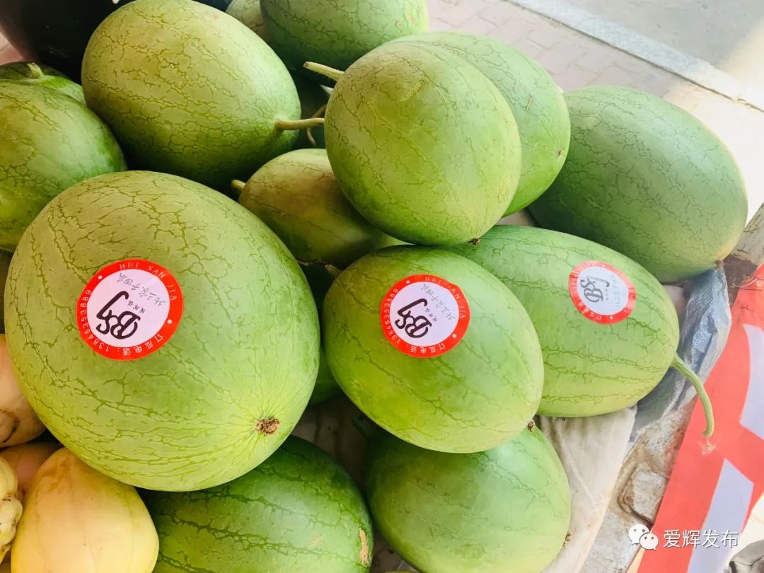黑河吃瓜群众看过来一大波本地甜瓜在市区上市啦认准官方标识长啥样↘