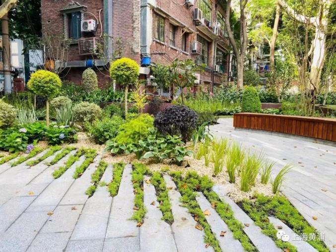 串联街道与居住区黄浦区新增三处可阅读花园